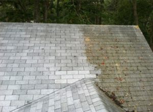 pressure washing roof in Maywood 